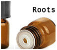Roots